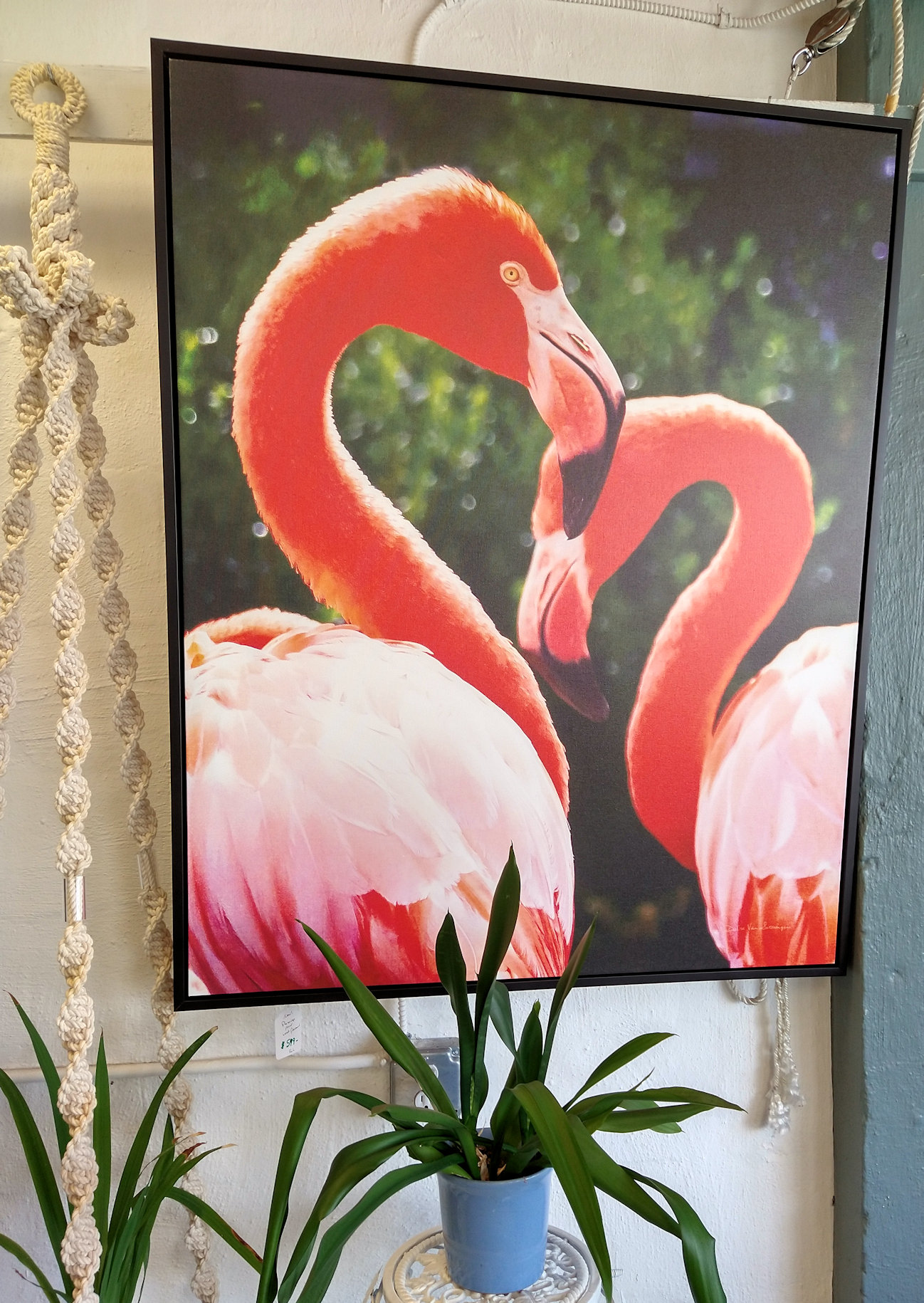 KK0285-Flamingo-print